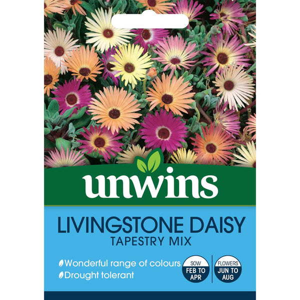 Livingstone Daisy -Dorotheanthus 'Tapestry' Mix - Seeds