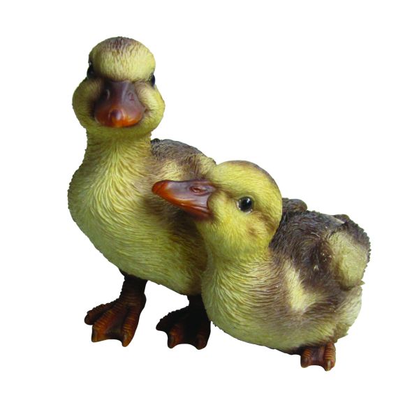 NF Duckling Group D