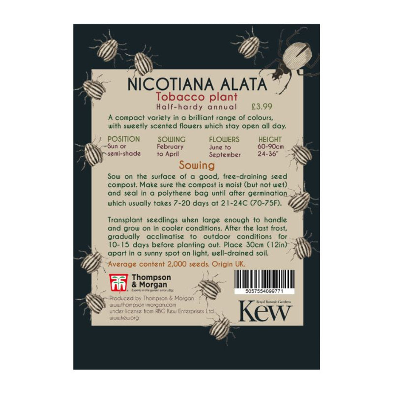 Nicotiana alata - Kew Pollination Collection