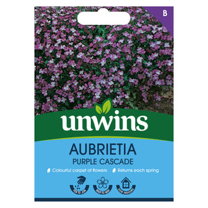 Aubrietia Purple Cascade Seeds