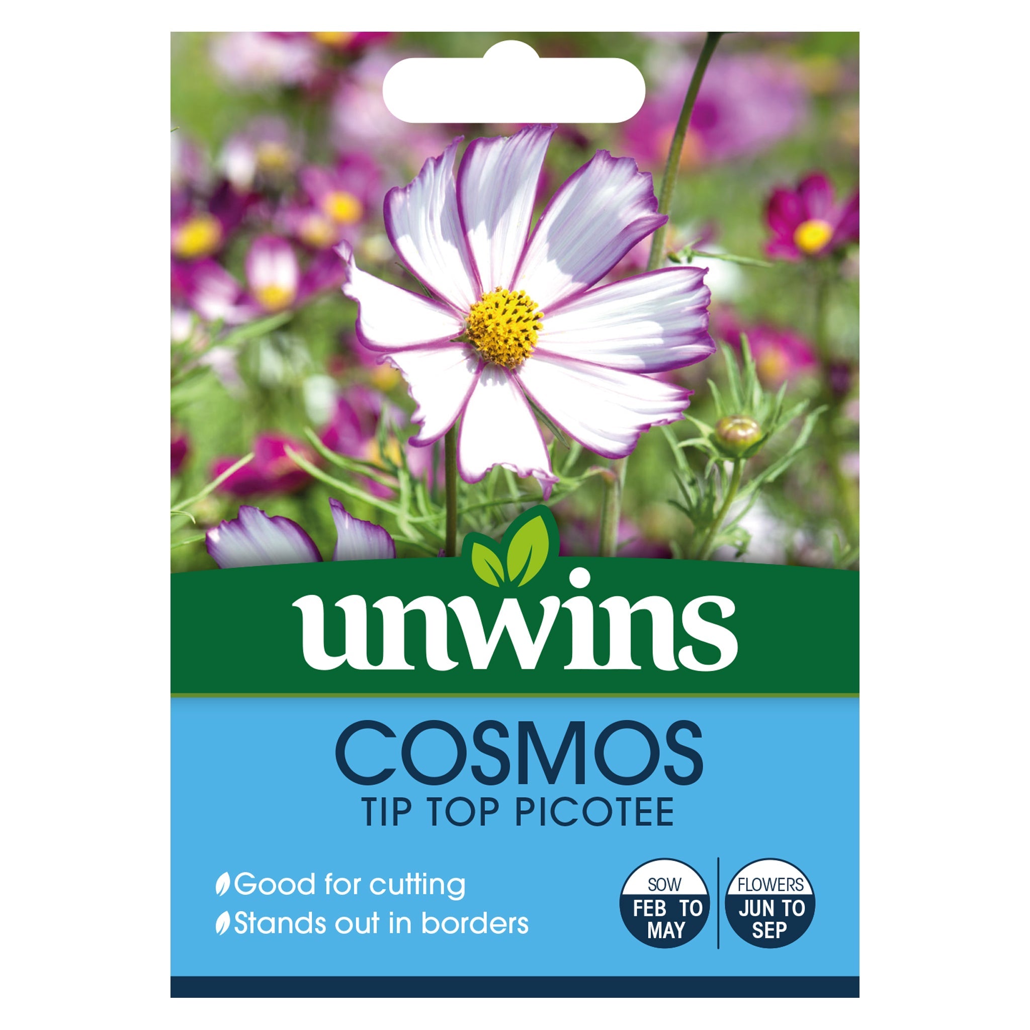 Cosmos Tip Top Picotee Seeds