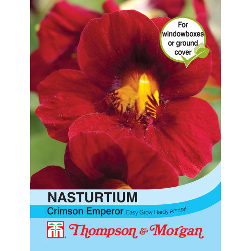 Nasturtium Crimson Emperor F2-M5