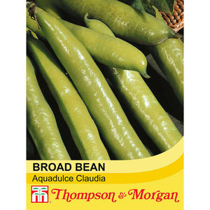 Broad Bean Aquadulce Claudia S9-A4