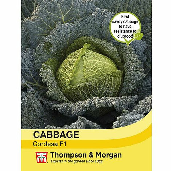 Cabbage Cordesa F1