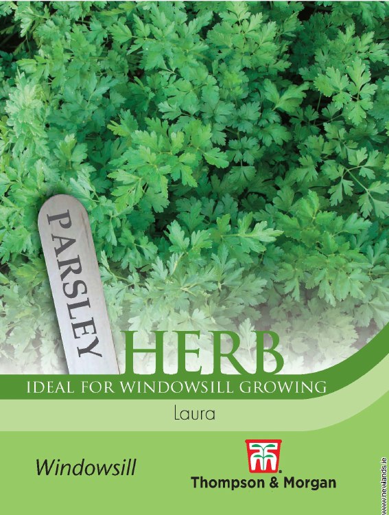 Herb Parsley Laura