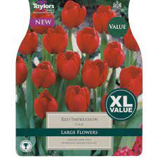 18 Tulip Red Impression 10-11