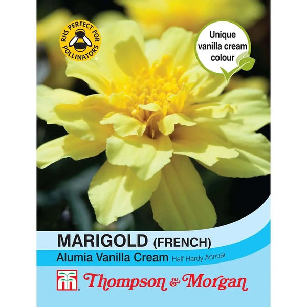 Marigold Alumia Vanilla Cream (French) F2-A4