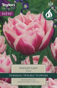 7 Tulip Fantasy Lady 11-12