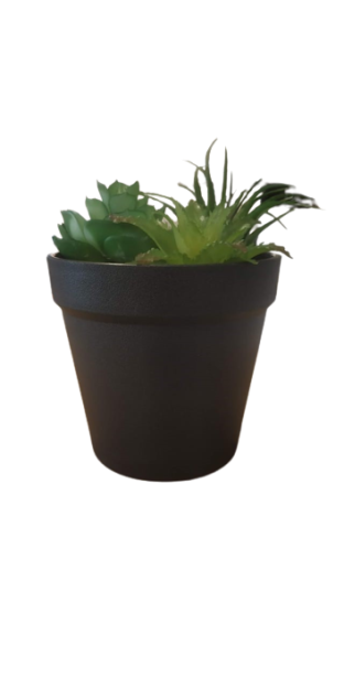 Succulent in pot green - h18,5xd10,5cm