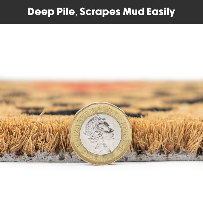 Latex Coir Mat -  Heart Paws 40x70cm - Image 7