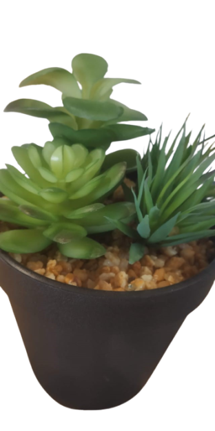 Succulent in pot green - h18,5xd10,5cm