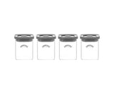 Fresh Storage 4Pce Spice Jar Set 0.16 Litre