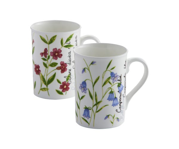 Botanical assorted fine china mug 30cl with hand-painted floral designs by Price and Kensington – Keans Claremorris