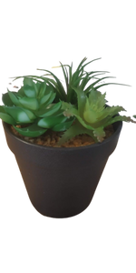 Succulent in pot green - h13xd10,5cm