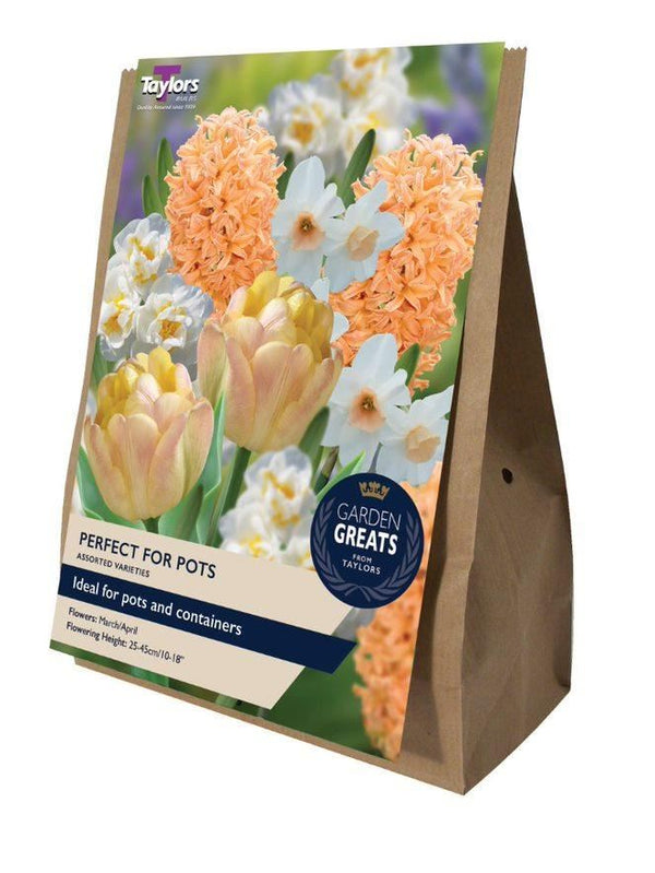 Perfect For Pots Collection Pack of 20