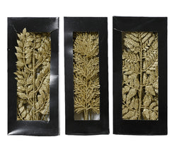 Light Gold spray, box of 10, size 32x15x3.5cm, Keans Claremorris