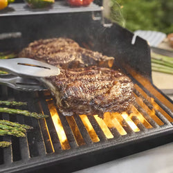 Weber Spirit EP-335