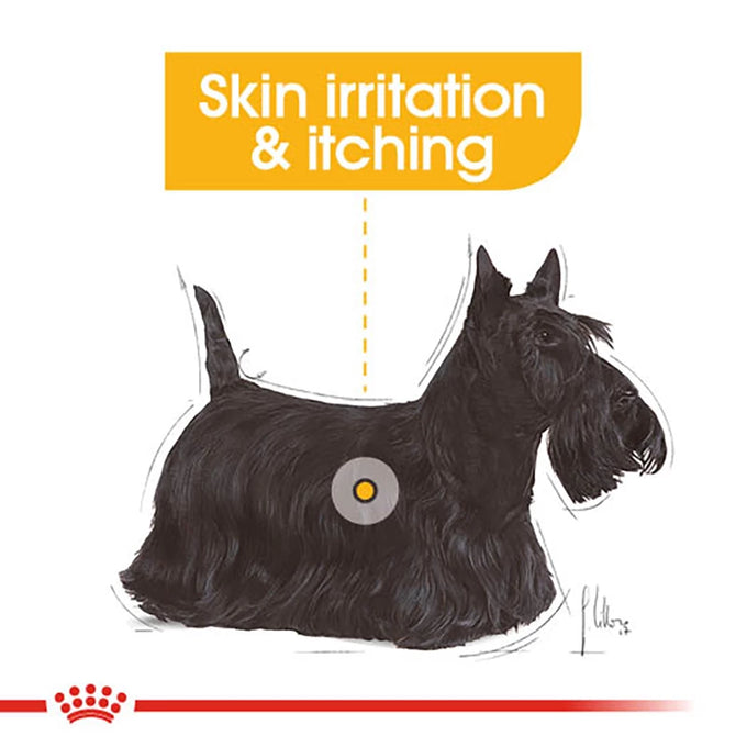 Royal Canin Dermacomfort Dog Pouch 85g – Skin Care Wet Dog Food | Available at Keans Claremorris