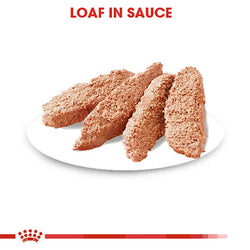 Royal Canin Digestive Care Dog Pouch 85g – Premium wet dog food for digestive health | Keans Claremorris