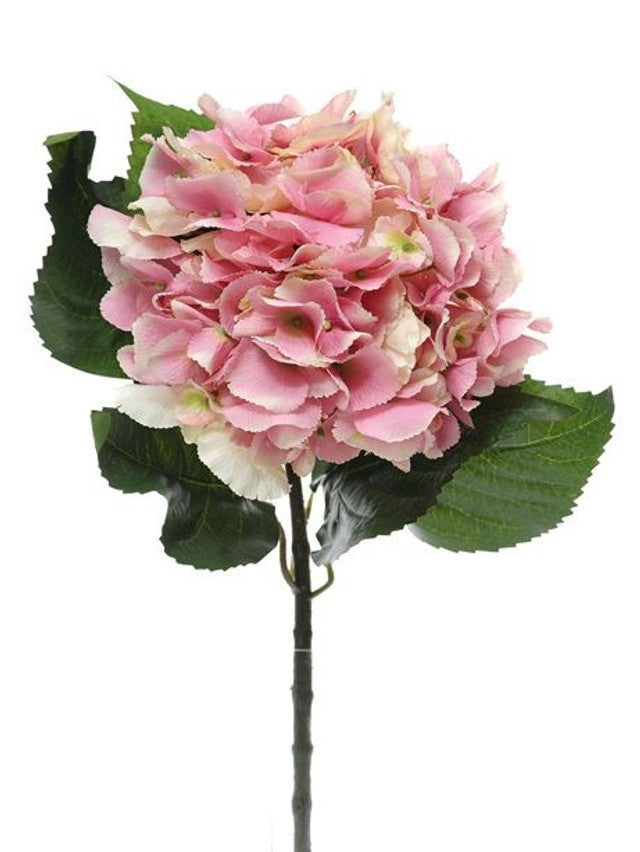 Extra large artificial pink hydrangea bloom with green leaves on a single stem against white background.