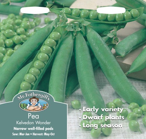 Pea Kelvedon Wonder - Image 1