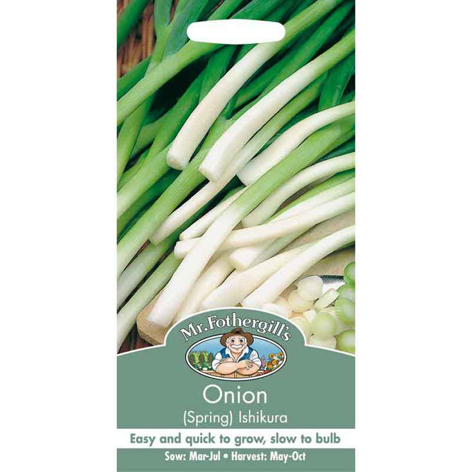 Onion (Spring) Ishikura - Image 1