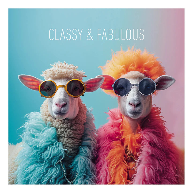 Two sheep wearing colorful fluffy coats and sunglasses with "Classy & Fabulous" text above.