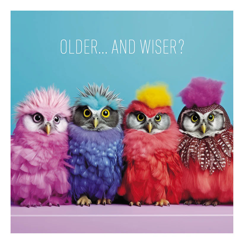 Four colorful owls with quirky feather styles against a blue background, text "OLDER... AND WISER?