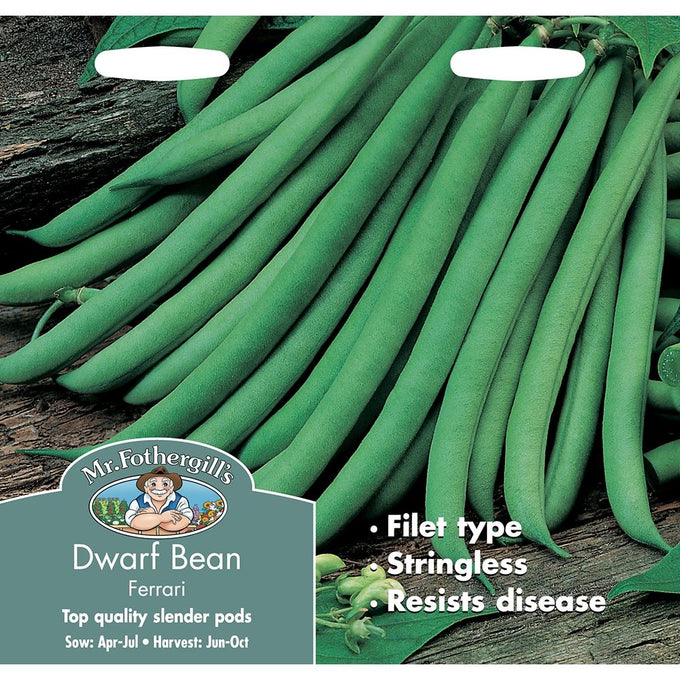 Dwarf French Bean Ferrari - Image 1