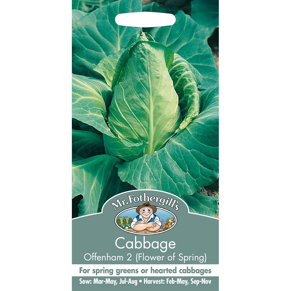 Mr. Fothergill’s Cabbage Offenham 2 seed packet showing a close-up of a green cabbage head with large outer leaves.