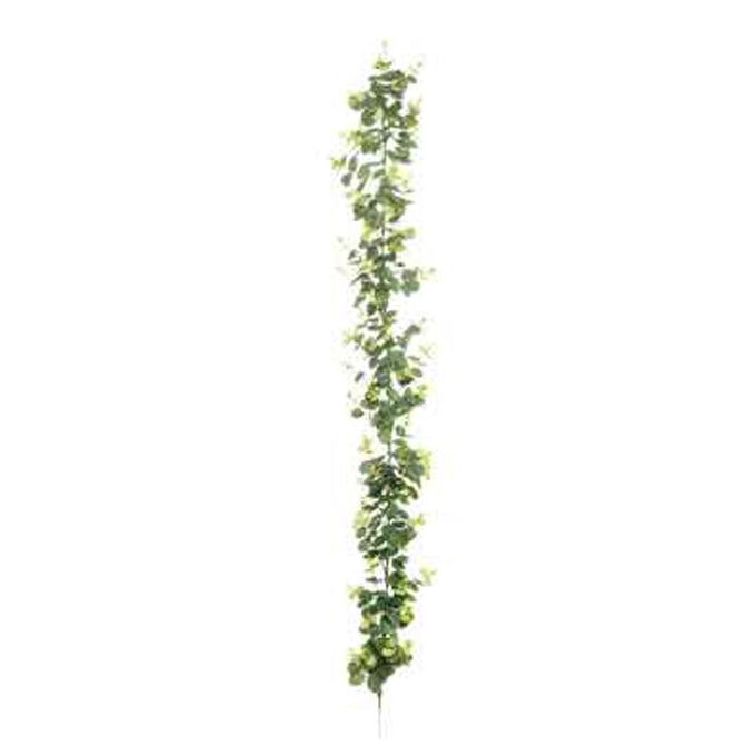 Garland eucalyptus d. green frosted - l180xw9xh4cm - Image 1
