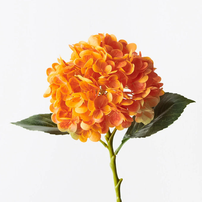 Hydrangea orange  - l63xd20cm - Image 1