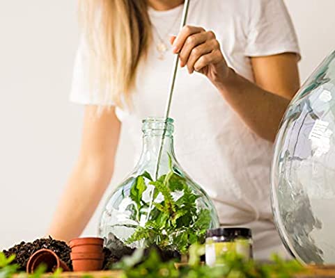 Terrarium Mini Tool set - Image 3