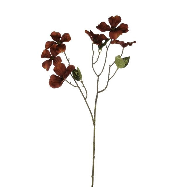Harvest Dogwood Red 61cm - Image 1