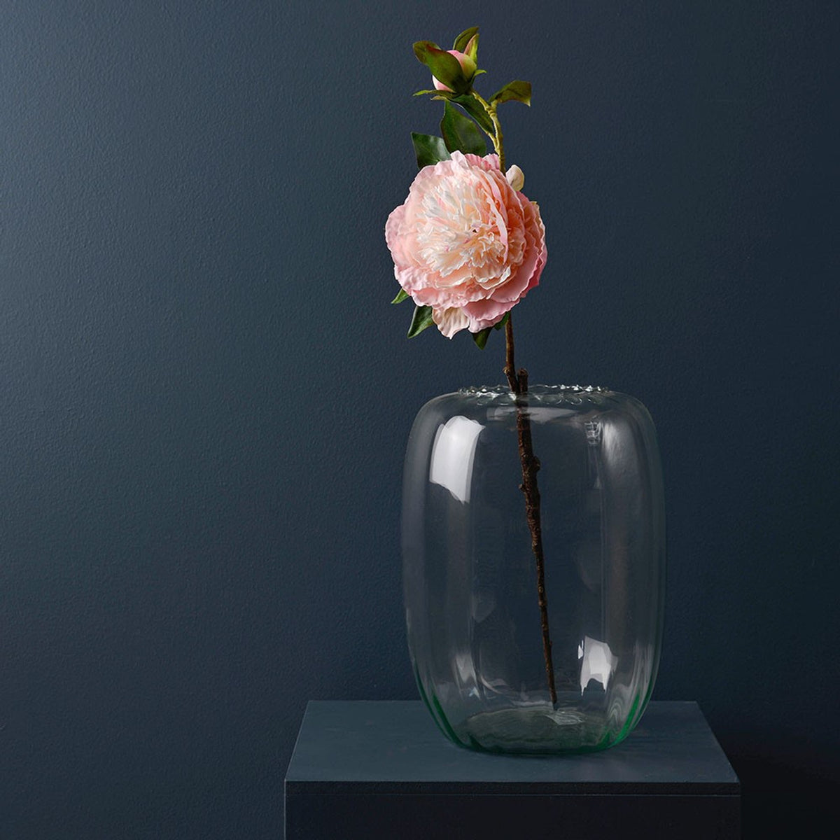 Single soft pink peony stem in a clear glass vase against a dark blue background