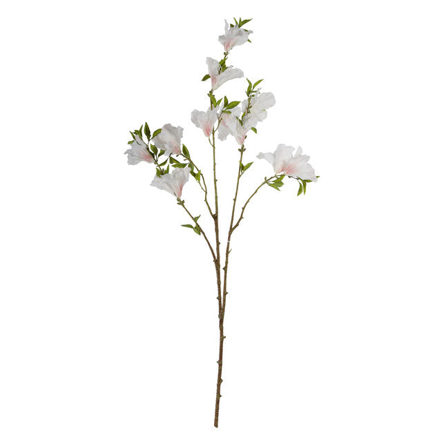 Artificial Rhododendron Spray Cream 64cm with cream flowers and green leaves on brown stems against white background