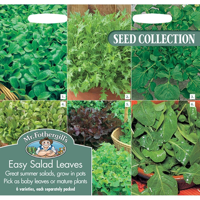 Easy Salad Leaves - Image 1