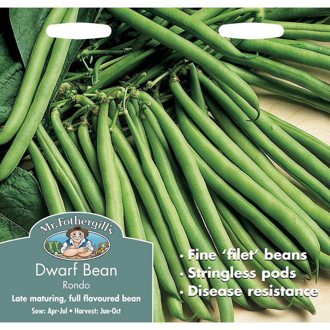 Dwarf French Bean Rondo - Image 1