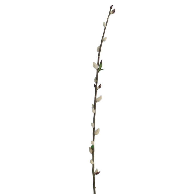 ECO Pussy Willow -100cm - Image 1