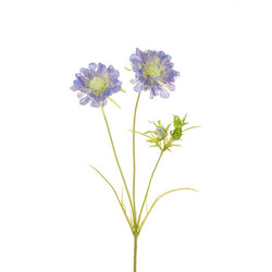 Scabiosa Spray 84cm
