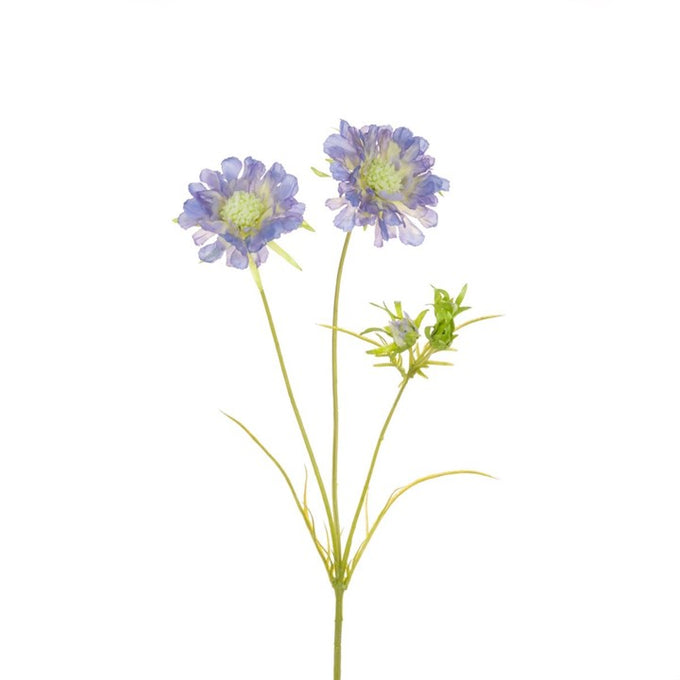 Scabiosa Spray 84cm - Image 1