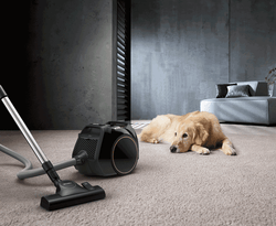 Miele Boost CX1 Boost Cat & Dog vacuum cleaner, powerful pet hair removal, Keans Claremorris store