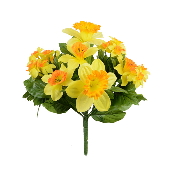 Daffodil Bush x 11 -32cm