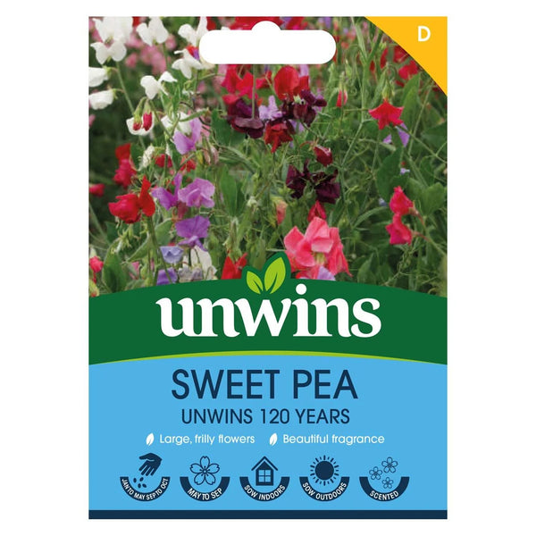 Sweet Pea Unwins 120 Years MixFlower