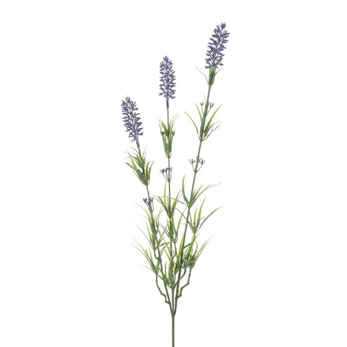 Dutch Lavender Stem X3 62cm - Image 1