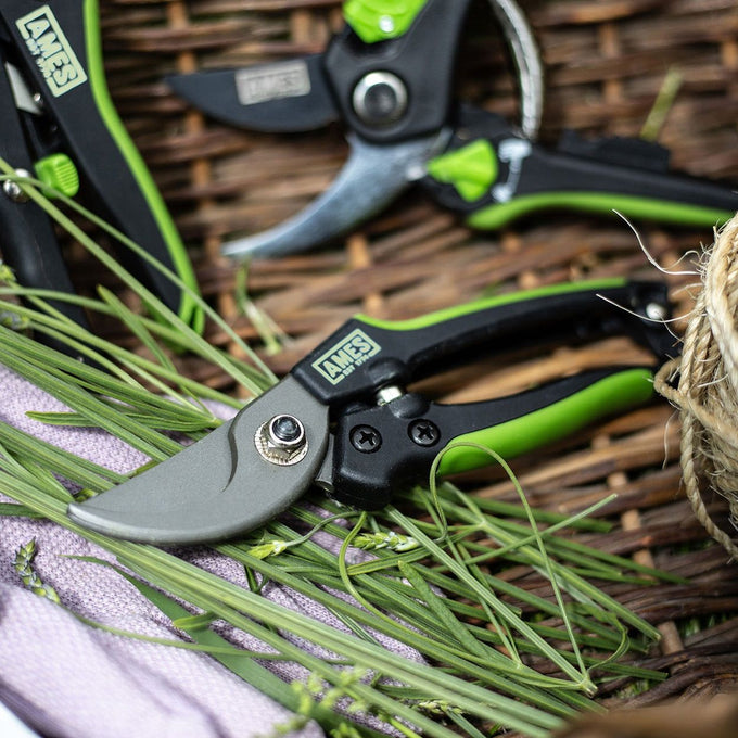 Ames Bypass Pruner CS 19.3 cm - Image 2