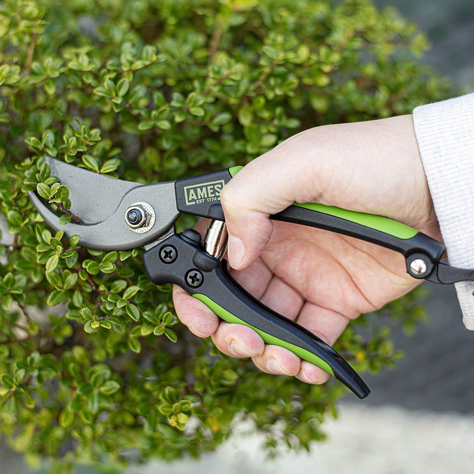Ames Bypass Pruner CS 19.3 cm - Image 3