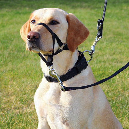 Top Trainer XL Head Collar 46cm, black, safe gentle control for dog training, Keans Claremorris.