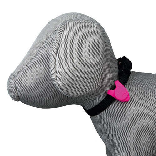 Gray fabric dog mannequin wearing a black collar with a pink silicone pet safety light tag attached.