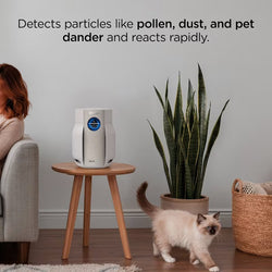 Shark BreatheClear Compact Air Purifier Dove | HP062UK